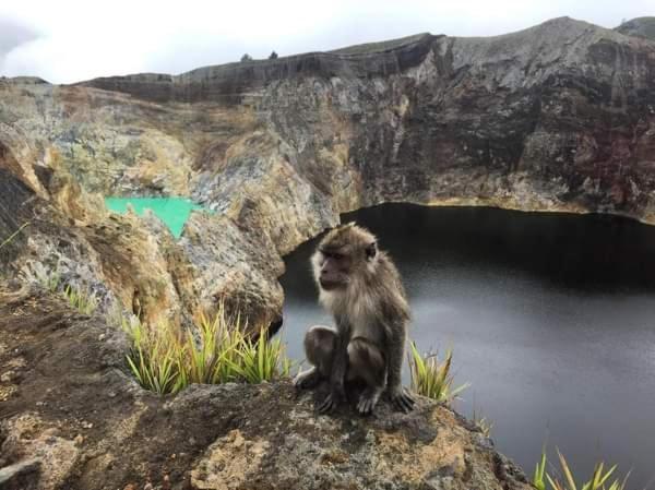 Andy'S Lodge Kelimutu Bagian luar foto